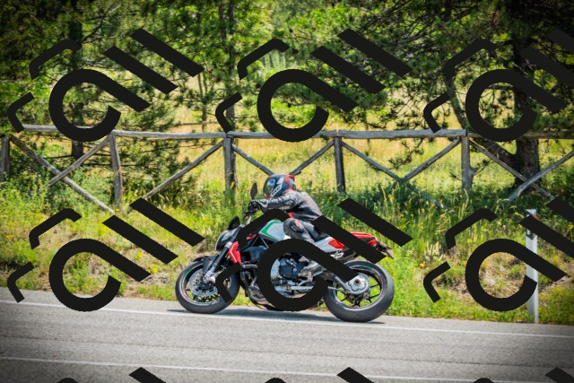 202506211137-DSC02310_c1_