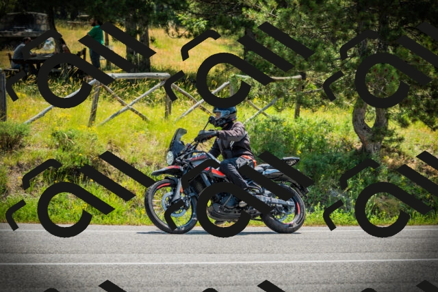 202506211138-DSC02319_c1_