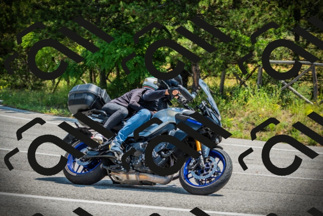 202506211138-DSC02328_c1_