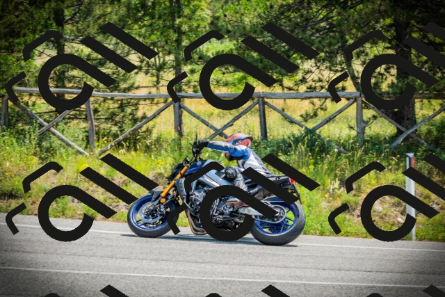 202506211142-DSC02362_c1_