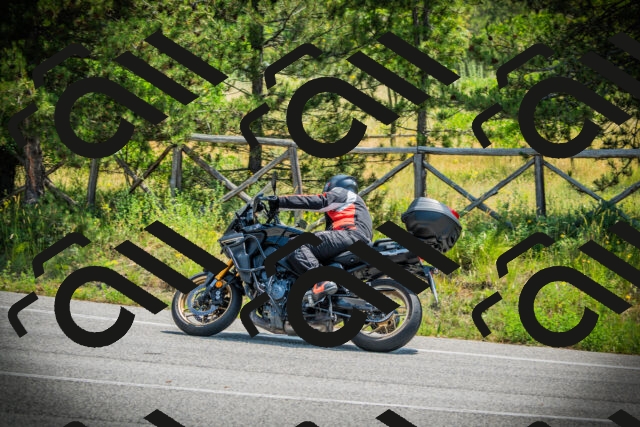 202506211143-DSC02391_c1_