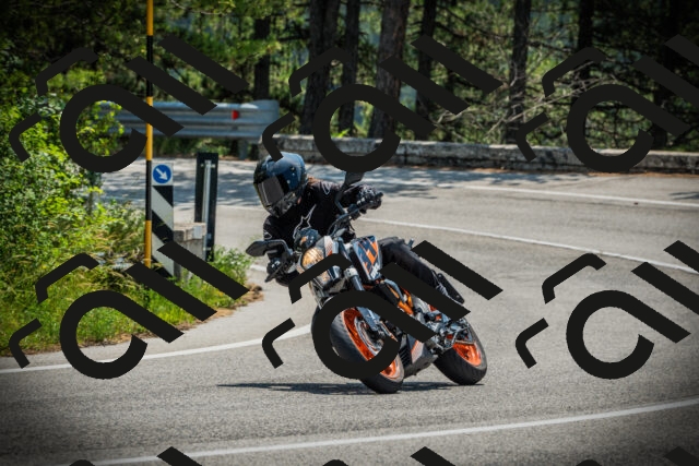 202506211202-DSC02477_c1_