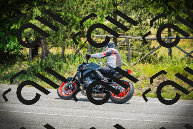 202506211206-DSC02498_c1_