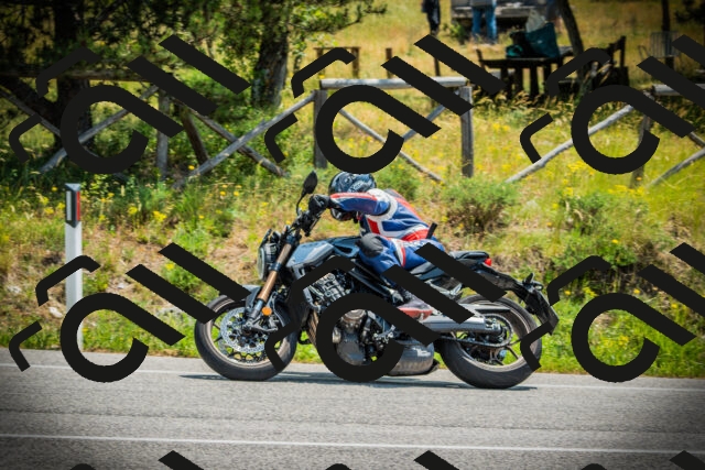 202506211210-DSC02522_c1_