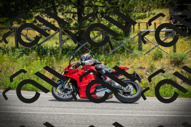 202506211213-DSC02557_c1_