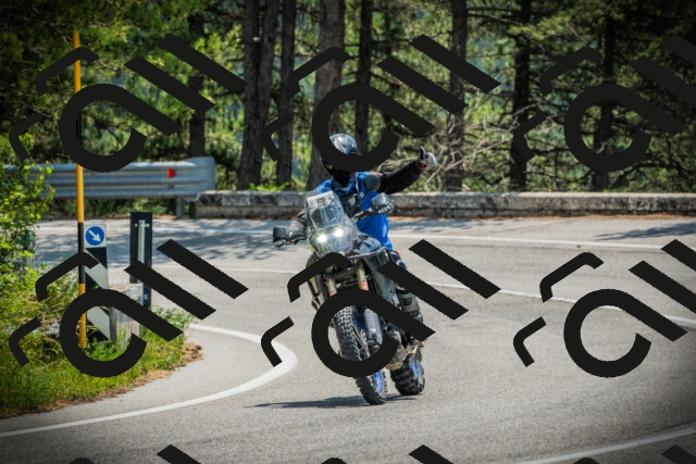 202506211217-DSC02573_c1_