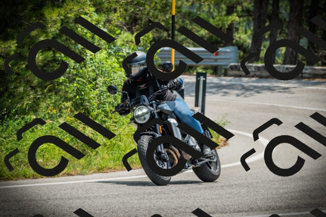 202506211230-DSC02669_c1_