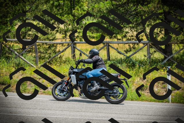 202506211230-DSC02671_c1_