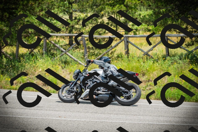 202506211246-DSC02751_c1_