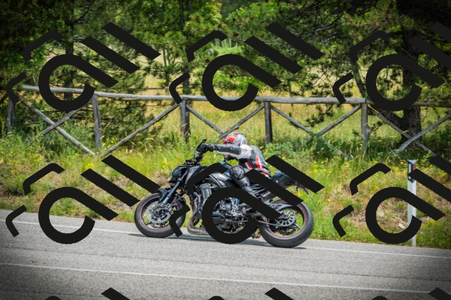 202506211249-DSC02762_c1_