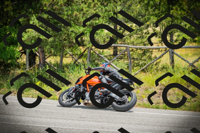 202506211250-DSC02775_c1_