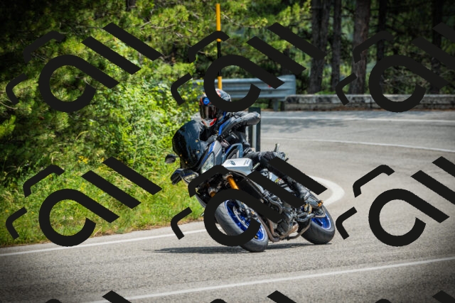 202506211250-DSC02776_c1_