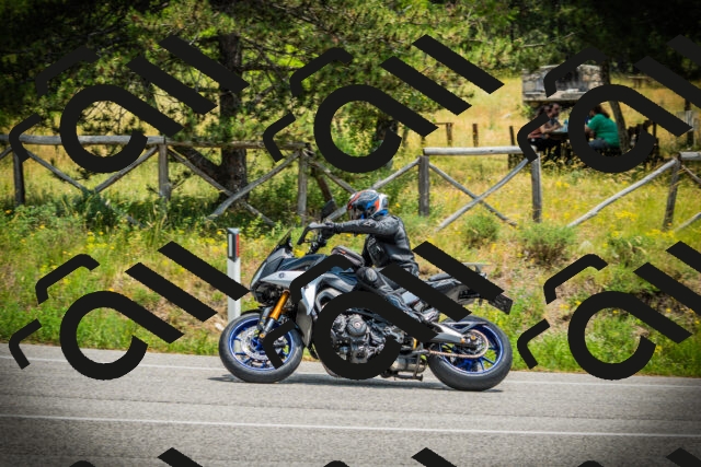 202506211250-DSC02777_c1_