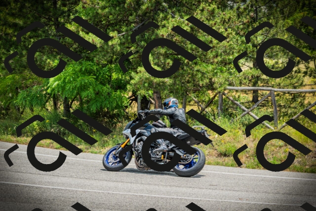 202506211250-DSC02778_c1_