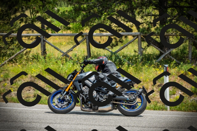 202506211253-DSC02791_c1_