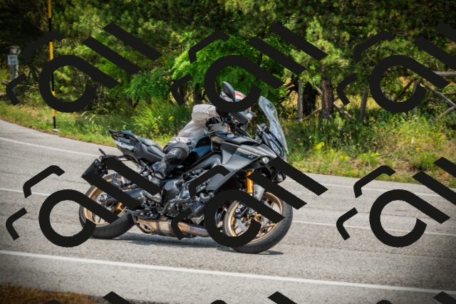 202506211257-DSC02815_c1_