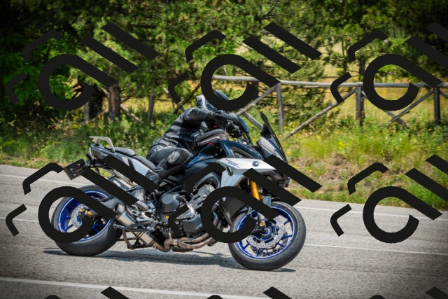 202506211300-DSC02833_c1_