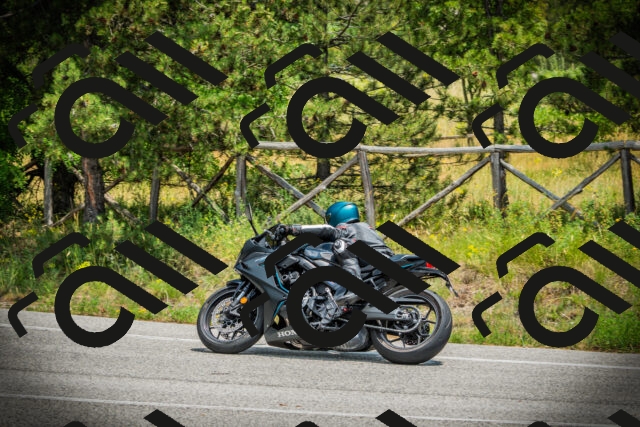 202506211306-DSC02857_c1_