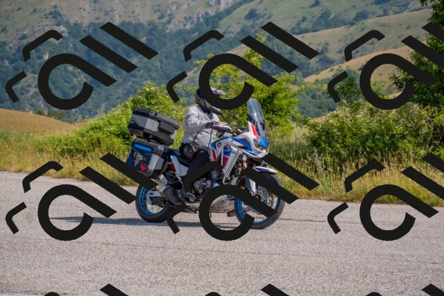 202506211005-DSC_3161_c4_