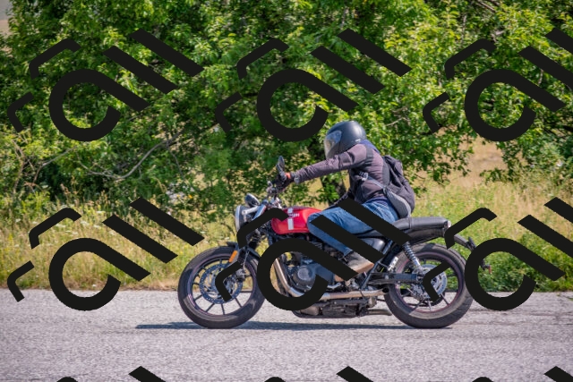 202506211009-DSC_3175_c4_