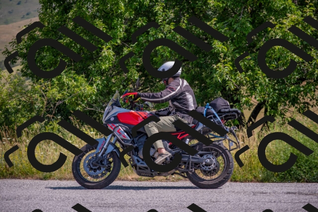 202506211026-DSC_3230_c4_