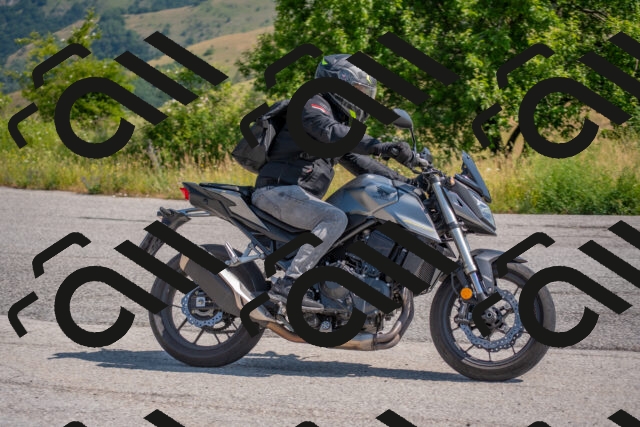 202506211027-DSC_3252_c4_