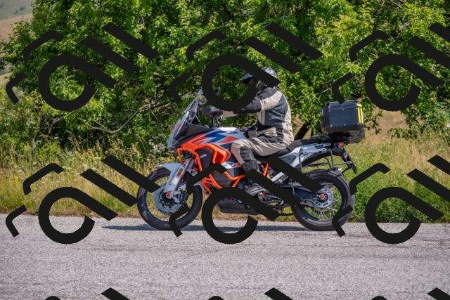 202506211037-DSC_3294_c4_