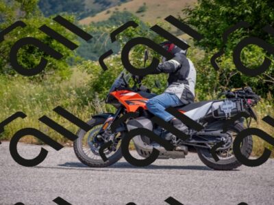 202506211050-DSC_3366_c4_