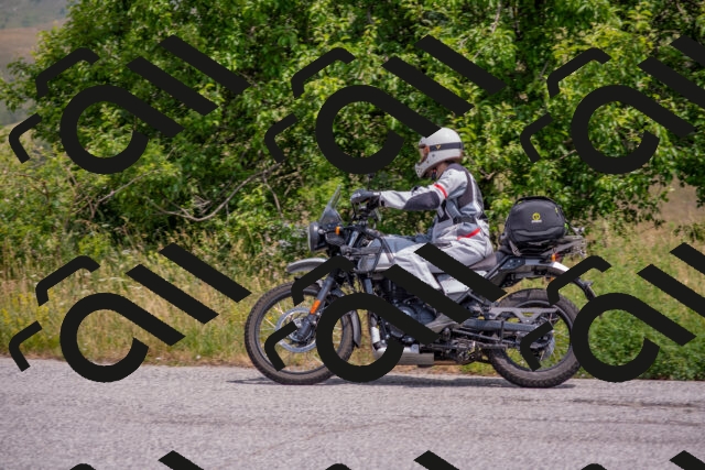 202506211201-DSC_3766_c4_