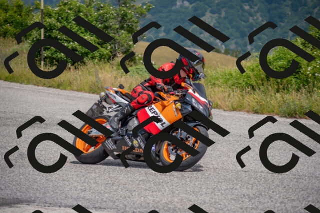 202506211201-DSC_3776_c4_