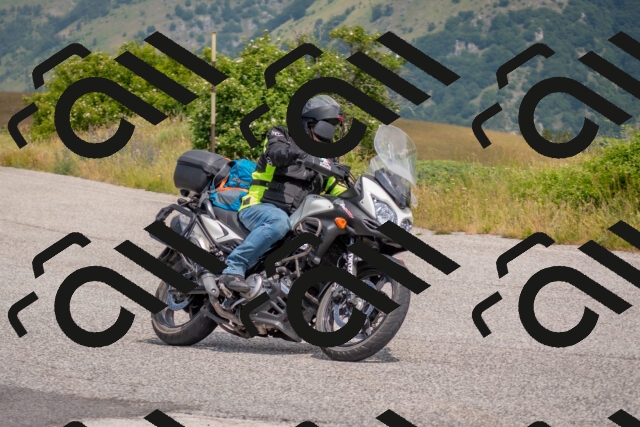 202506211204-DSC_3810_c4_