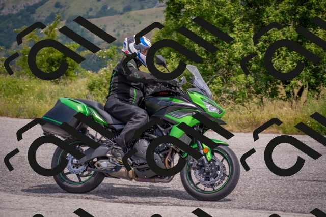 202506211204-DSC_3814_c4_