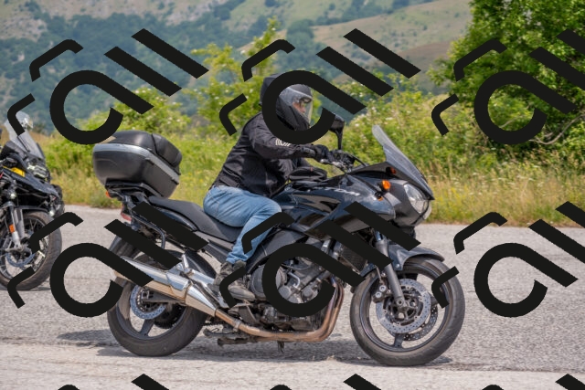 202506211204-DSC_3818_c4_