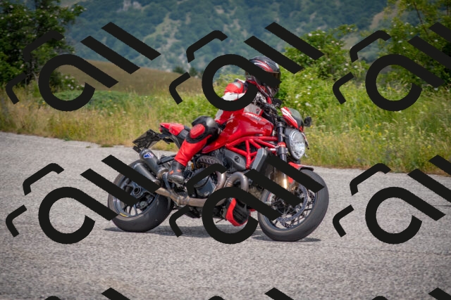 202506211208-DSC_3855_c4_