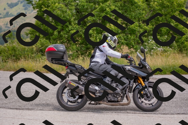 202506211210-DSC_3864_c4_