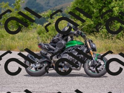 202506211233-DSC_3994_c4_