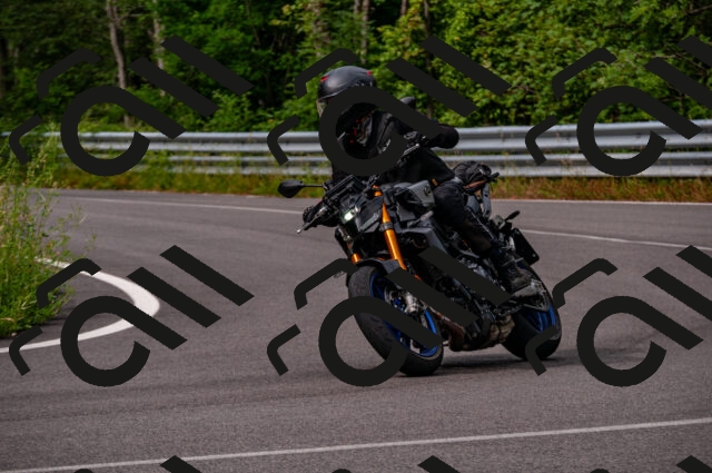 202506220946-DSC_3539_d2_