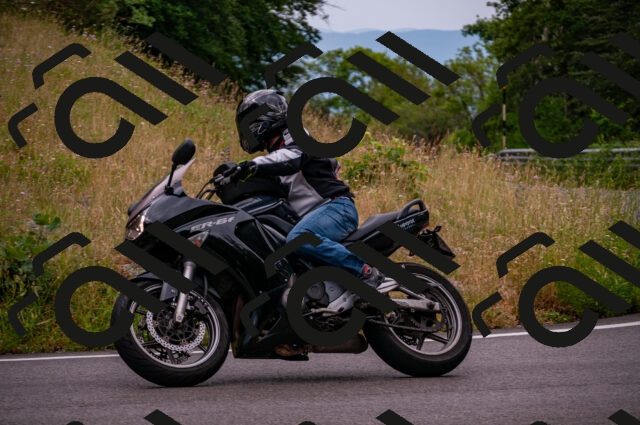 202506221006-DSC_3607_d2_