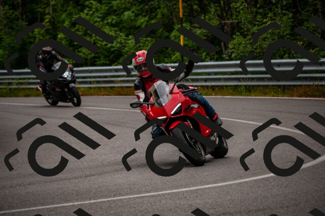 202506221022-DSC_3664_d2_