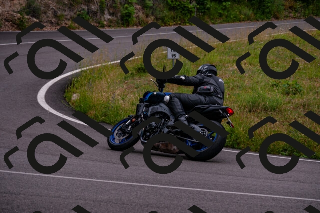 202506221025-DSC_3679_d2_