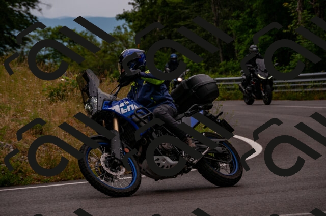 202506221025-DSC_3684_d2_