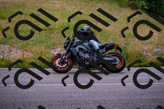 202506221028-DSC_3705_d2_