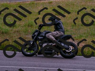 202506221030-DSC_3719_d2_