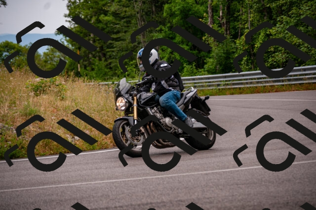 202506221038-DSC_3724_d2_