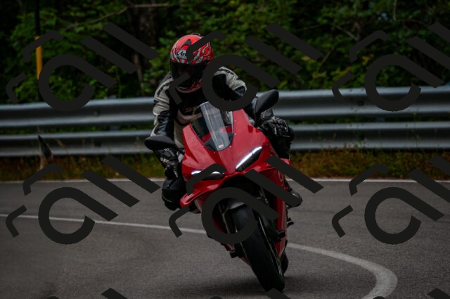 202506221039-DSC_3728_d2_