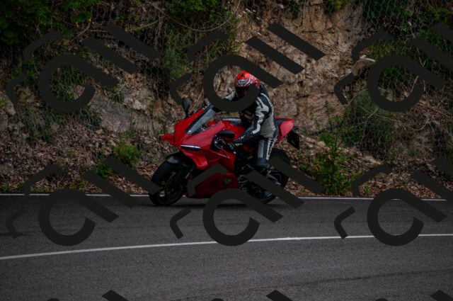 202506221051-DSC_3765_d2_