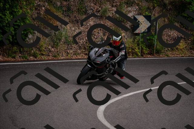 202506221053-DSC_3769_d2_