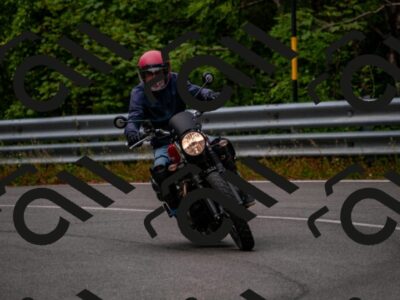 202506221053-DSC_3787_d2_