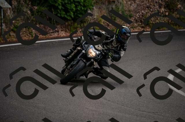 202506221055-DSC_3798_d2_