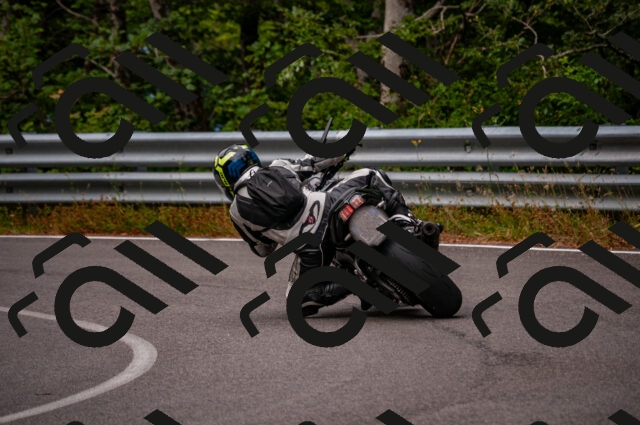 202506221055-DSC_3802_d2_